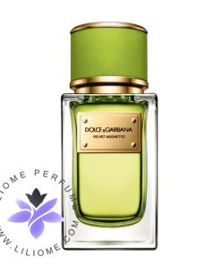 عطر ادکلن دولچه گابانا ولوت موگتو | Dolce & Gabbana Velvet Mughetto