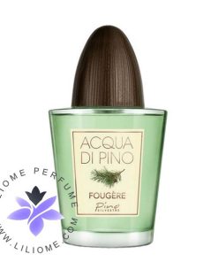 عطر ادکلن پینو سیلوستره آکوا دی پینو فوژه | Pino Silvestre Acqua di Pino Fougere