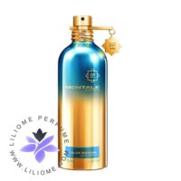 عطر ادکلن مونتال بلو ماچا | Montale Blue Matcha