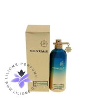 عطر ادکلن مونتال بلو ماچا | Montale Blue Matcha