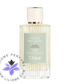 عطر ادکلن کلوهه یلانگ کانانگا | Chloé Ylang Cananga
