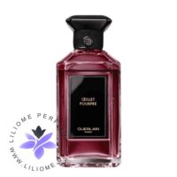 عطر ادکلن گرلن اویلت پورپر | Guerlain Oeillet Pourpre