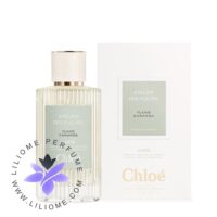 عطر ادکلن کلوهه یلانگ کانانگا | Chloé Ylang Cananga