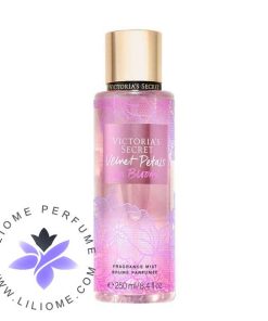 بادی اسپلش ویکتوریا سکرت ولوت پتالز این بلوم | Victoria's Secret Body Splash Velvet Petals In Bloom