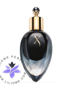 عطر ادکلن زرجوف هوم پرفیوم اکسترکت | Xerjoff Homme Perfume Extract