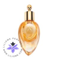 عطر ادکلن زرجوف ریچ وود پرفیوم اکسترکت | Xerjoff Richwood Perfume Extract