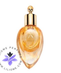 عطر ادکلن زرجوف ریچ وود پرفیوم اکسترکت | Xerjoff Richwood Perfume Extract