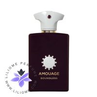 عطر ادکلن آمواج باندلس مردانه | Amouage Boundless For Men