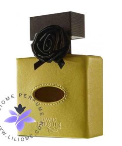 عطر ادکلن دیوید ژورکین کویر سولایر | David Jourquin Cuir Solaire