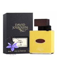 عطر ادکلن دیوید ژورکین کویر سولایر | David Jourquin Cuir Solaire