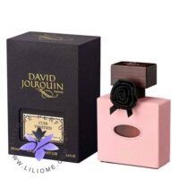 عطر ادکلن دیوید ژورکین کویر ونیتین | David Jourquin Cuir Venitien