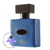 عطر ادکلن دیوید ژورکین کویر کارایبس | David Jourquin Cuir Caraibes