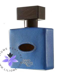 عطر ادکلن دیوید ژورکین کویر کارایبس | David Jourquin Cuir Caraibes