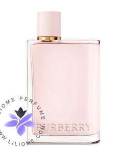 عطر ادکلن باربری هر ادوپرفیوم زنانه | Burberry Her Eau de Parfum