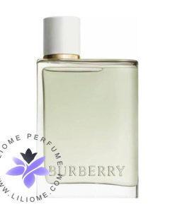 عطر ادکلن باربری هر ادوتویلت زنانه | Burberry Her Eau de Toilette