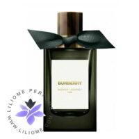 عطر ادکلن باربری میدنایت جورنی | Burberry Midnight Journey