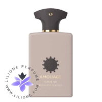 عطر ادکلن آمواج اوپوس هفت رکلس لدر | Amouage Opus VII Reckless Leather