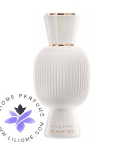 عطر ادکلن بولگاری آلیگرا مگنیفایینگ برگاموت اسنس | Bvlgari Allegra Magnifying Bergamot Essence