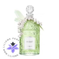 عطر ادکلن گرلن موگت میلسیم 2021 | Guerlain Muguet Millésime 2021