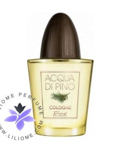 عطر ادکلن پینو سیلوستره آکوا دی پینو کلون | Pino Silvestre Acqua di Pino Cologne