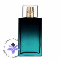 عطر ادکلن آون تودی تومارو الویز د مومنت هیم | Avon Today Tomorrow Always The Moment Him