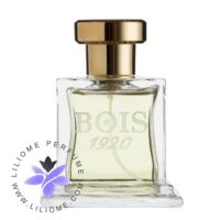 عطر ادکلن بویس 1920 الیت 1 | Bois 1920 Elite I