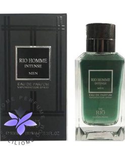 عطر ادکلن ریو هوم اینتنس (مشابه دیور هوم اینتنس) | Rio collection Homme Intense