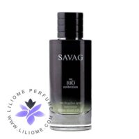 عطر ادکلن ریو ساواج (مشابه دیور ساواج) | Rio collection Savag