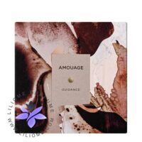 Amouage Guidance