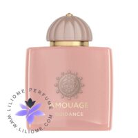 عطر ادکلن آمواج گایدنس | Amouage Guidance