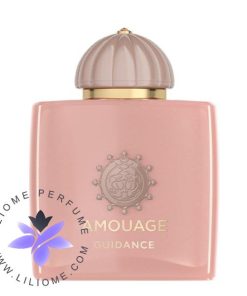 عطر ادکلن آمواج گایدنس | Amouage Guidance