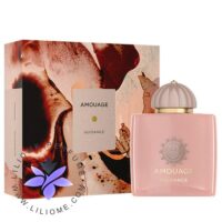 عطر ادکلن آمواج گایدنس | Amouage Guidance