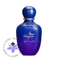 عطر ادکلن سالواتوره فراگامو آمو فراگاموو اورینتال وود | Salvatore Ferragamo Amo Ferragamo Oriental Wood