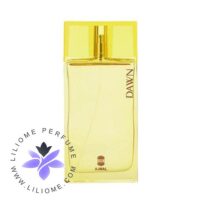 عطر ادکلن اجمل دان | Ajmal Dawn