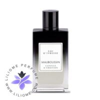 عطر ادکلن مابوسین او د ایورس | Mauboussin Eau d'Ivresse