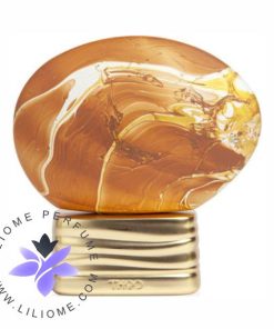 عطر ادکلن د هاوس آف عود شِیدس | The House of Oud Hidden Shades