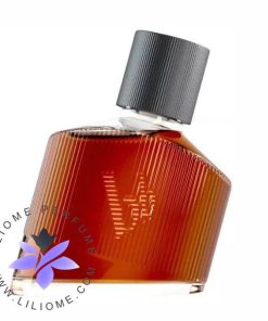 عطر ادکلن برونو بنانی مگنتیک من | Bruno Banani Magnetic Man