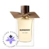 عطر ادکلن باربری اش فلاور | Burberry Ash Flower