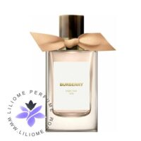 عطر ادکلن باربری های تی | Burberry High Tea