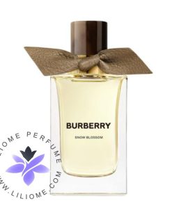 عطر ادکلن باربری اسنو بلوسوم | Burberry Snow Blossom