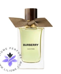 عطر ادکلن باربری عود استورم | Burberry Oud Storm