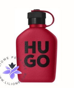 عطر ادکلن هوگو بوس هوگو اینتنس | Hugo Boss Hugo Intense 