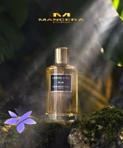 عطر ادکلن مانسرا اترنال وود | Mancera Eternal Wood