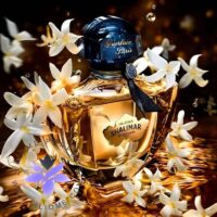 Shalimar Millésime Jasmin - Guerlain