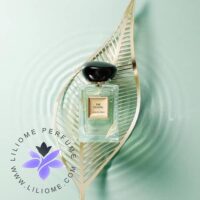 عطر ادکلن جورجو آرمانی پرایو یولونگ گلد لیوز _ Giorgio Armani Armani Privé - Thé Yulong Gold Leaves