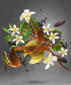 عطر ادکلن زرجوف هوم انیورسری