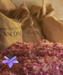عطر ادکلن لانکوم ابسولو آی فلیم د رز _ Lancôme Absolue I Flamed A Rose