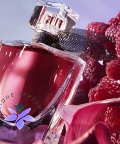عطر ادکلن لانکوم لا ویه است بله له الکسیر | Lancome La Vie est Belle L'Elixir