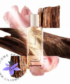 عطر ادکلن هرمس عود الزان _ Hermes Oud Alezan