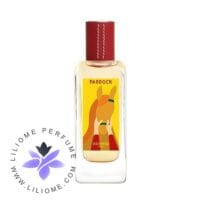 عطر ادکلن هرمس پادوک _ Hermes Paddock